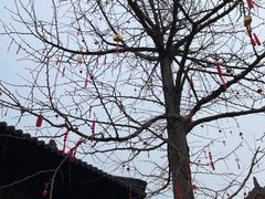 -钱王祠