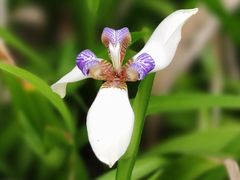 -广州国际生物岛