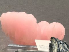 -湖南省地质博物馆