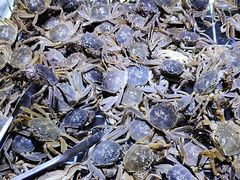 -聚盛源蒸汽海鲜火锅烤肉自助(巨川金海岸购物广场店)