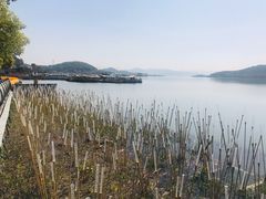 -东钱湖旅游度假区