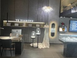 -VE DIAMOND·天然&培育钻石定制