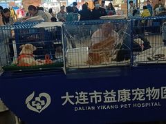 -大连凯丹广场