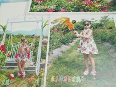 -亚龙湾国际玫瑰谷