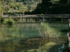 -靖西鹅泉风景区