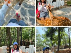 -南戴河国际娱乐中心