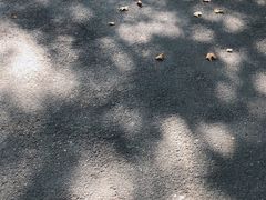 -凤凰御元艺术基地