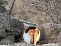 -颐和园