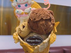 DIMOO哈根达斯联名款冰淇淋-哈根达斯(城西银泰店)
