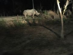 -清迈夜间动物园