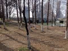 -七桥瓮公园
