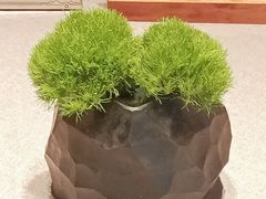 -南堂馆·新川菜(春熙路店)