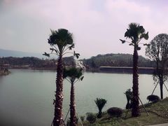 -枫香湖儿童公园