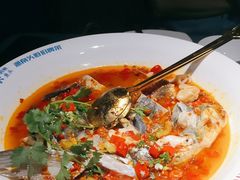 -坛宗剁椒鱼头(河西王府井店)