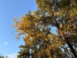 -大望京儿童游乐场