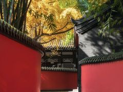 -成都武侯祠博物馆