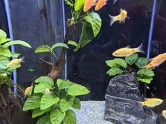 -顺德南宏海立方海洋公园