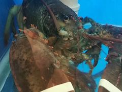 -拉威海鲜市场