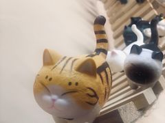 -猫色咖啡·猫咖