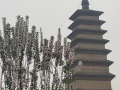 -正定古城-开元寺