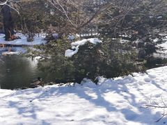 -北海道厅旧本厅舍(旧本庁舎)