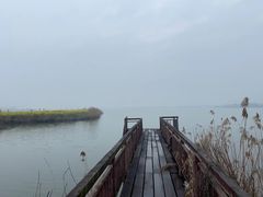 -素心小筑(后沙裕镇店)