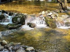 -牛背梁国家森林公园