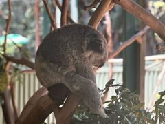 -费瑟代尔野生动物园