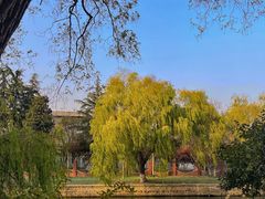 -西园戒幢律寺
