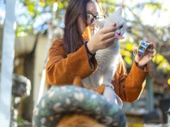 -喵屿·大理花园猫咖