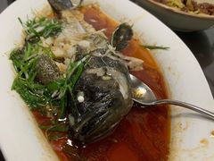 清蒸老虎斑-道南書院·私房菜·早午茶·茶馆