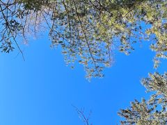 -峡谷浮石林景区