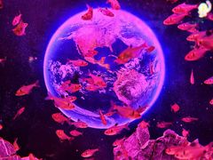 -正佳极地海洋世界