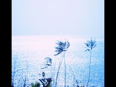 -银海大世界
