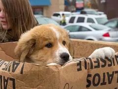 -新世界国际影城