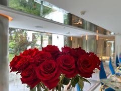 -九献创意菜(亮马河花园店)