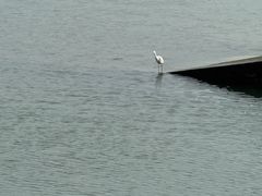 -日照世帆赛基地