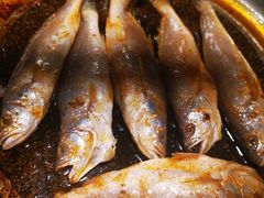 -石记东北风味烤肉店(子固路店)