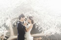 点击看大图 -艺匠摄影ARTIZ STUDIO(南京店)