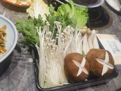 -禄婶鸡煲·打边炉