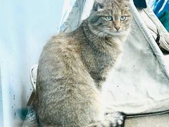 -青藏高原野生动物园