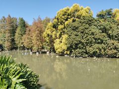 -海珠湖公园