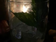 -TZ House音乐现场(来福士中心店)