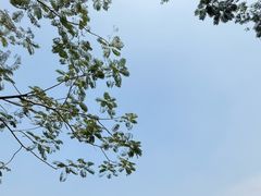 -叙兴楼(礼东财记农庄分店)