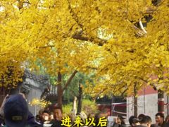 -回龙观体育文化公园