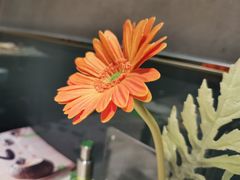 -汤城小厨•粤菜•靓汤(西直门凯德MALL店)