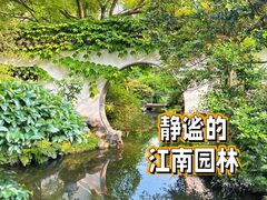 -上海醉白池公园