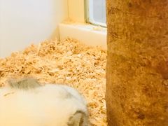 -龙猫仔乐园(惠福东路店)