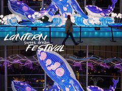 -海合安成都极地海洋公园