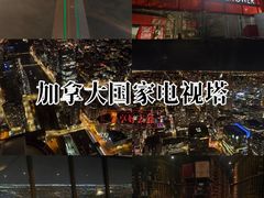 -加拿大国家电视塔